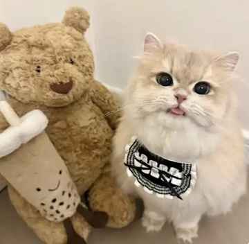 艾丽妈妈
