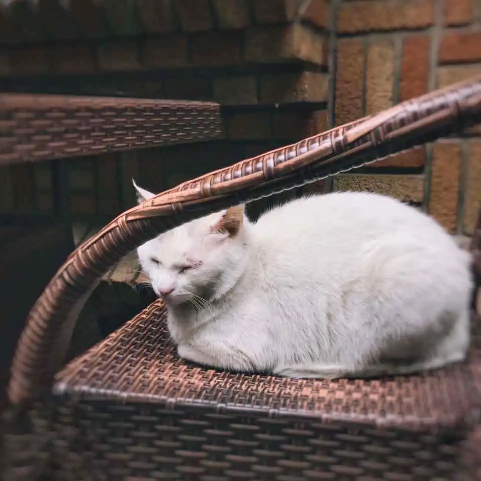 小晴妈妈