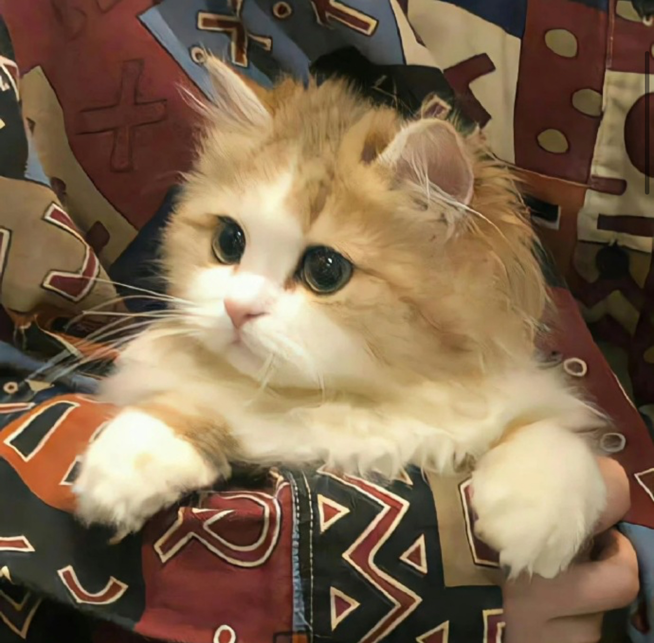 小梓妈妈